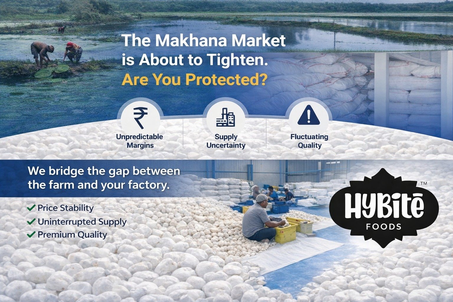 Makhana Market